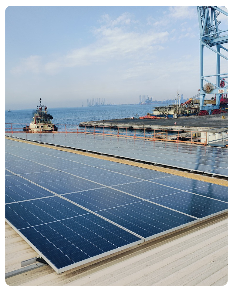 Bhageria Green Energy