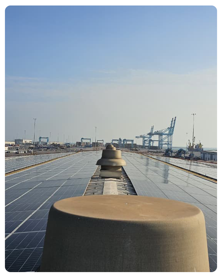 Bhageria Green Energy