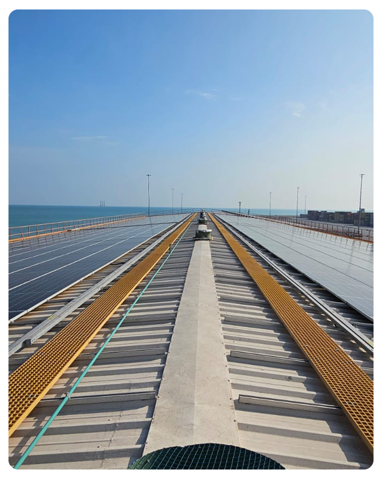 Bhageria Green Energy