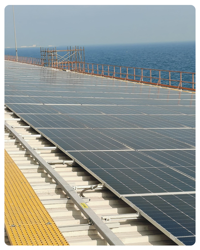 Bhageria Green Energy